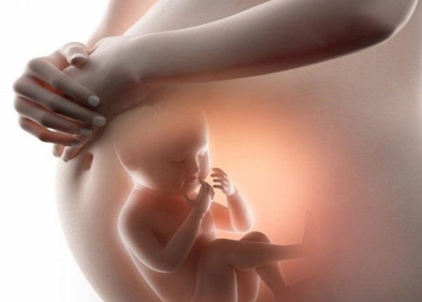 Canxi quan trong trọng đối với mẹ bầu và sự phát triển hoàn thiện cơ thể của thai nhi.